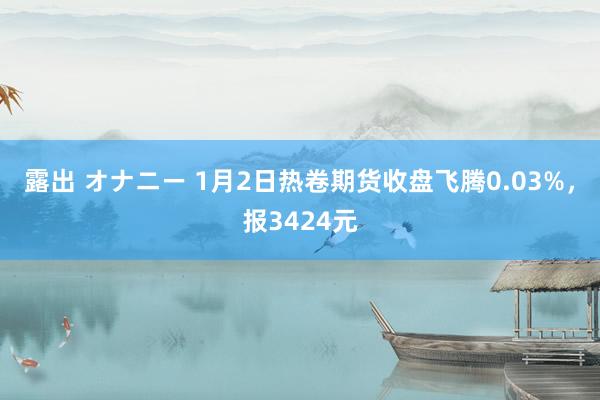 露出 オナニー 1月2日热卷期货收盘飞腾0.03%，报3424元