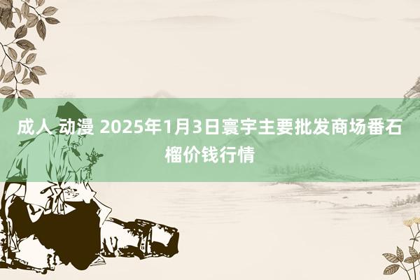 成人 动漫 2025年1月3日寰宇主要批发商场番石榴价钱行情