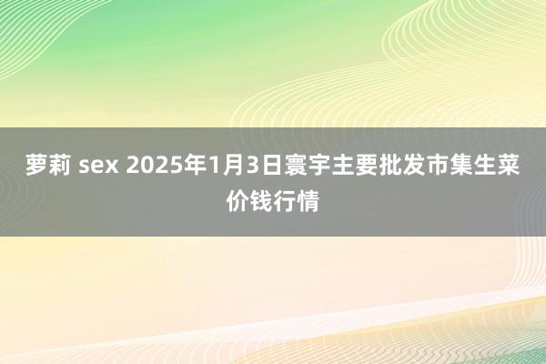 萝莉 sex 2025年1月3日寰宇主要批发市集生菜价钱行情