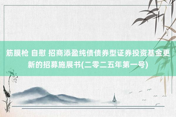 筋膜枪 自慰 招商添盈纯债债券型证券投资基金更新的招募施展书(二零二五年第一号)