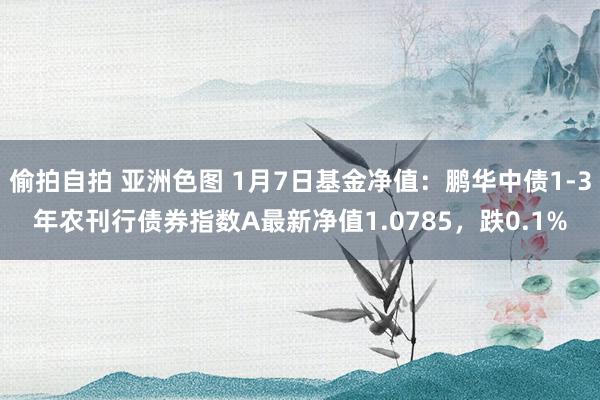 偷拍自拍 亚洲色图 1月7日基金净值：鹏华中债1-3年农刊行债券指数A最新净值1.0785，跌0.1%