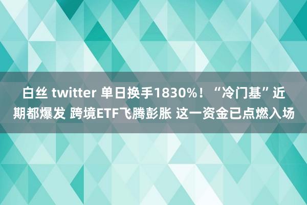 白丝 twitter 单日换手1830%！“冷门基”近期都爆发 跨境ETF飞腾彭胀 这一资金已点燃入场