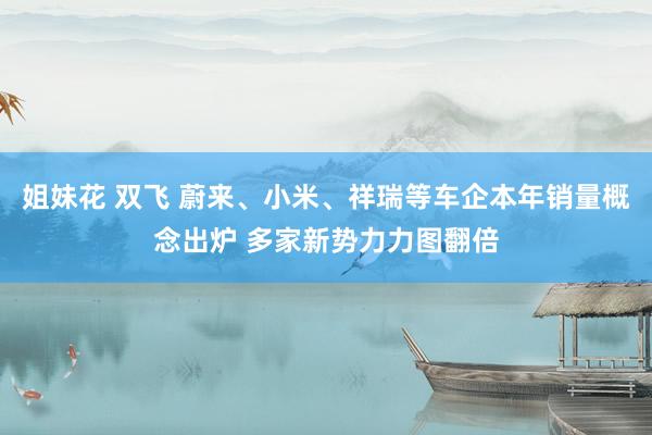 姐妹花 双飞 蔚来、小米、祥瑞等车企本年销量概念出炉 多家新势力力图翻倍