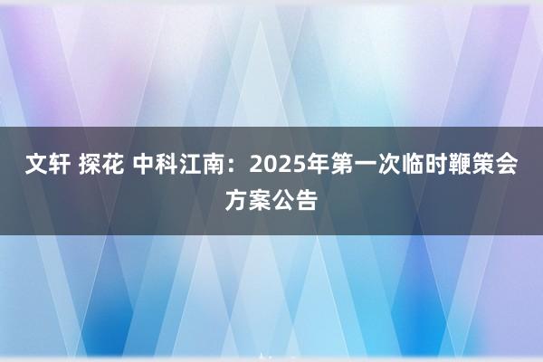 文轩 探花 中科江南：2025年第一次临时鞭策会方案公告