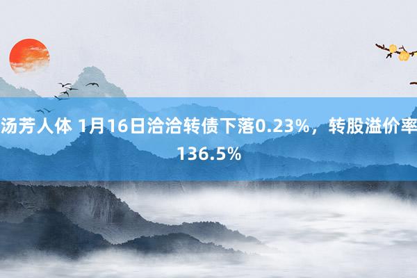 汤芳人体 1月16日洽洽转债下落0.23%，转股溢价率136.5%