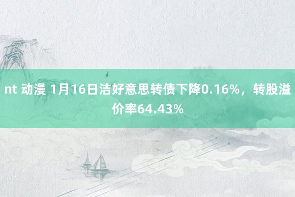 nt 动漫 1月16日洁好意思转债下降0.16%，转股溢价率64.43%